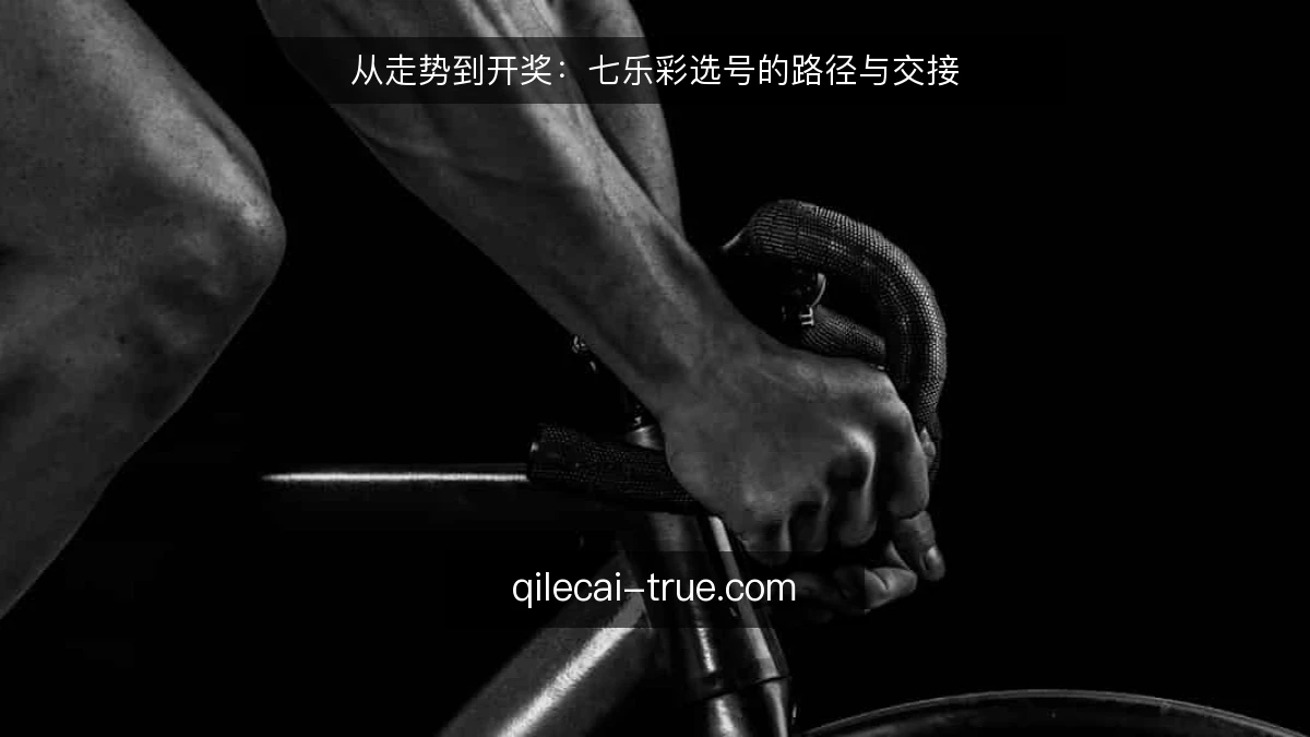 从走势到开奖：七乐彩选号的路径与交接