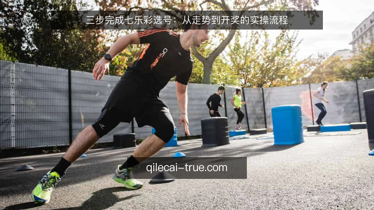 三步完成七乐彩选号:从走势到开奖的实操流程