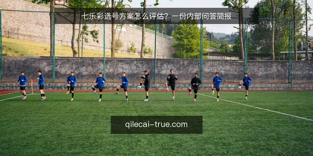 七乐彩选号方案怎么评估?一份内部问答简报 — 先定义需求:你要的七乐彩选号方案解决什么问题? 配图